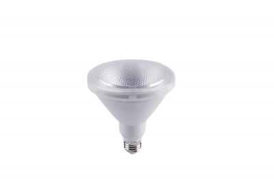 LED PAR38 15W 5000K 1300LM 60D IP65