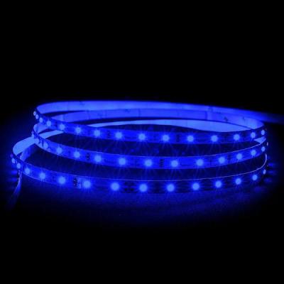 3528 LED Strip Lighting -IP54 - Blue