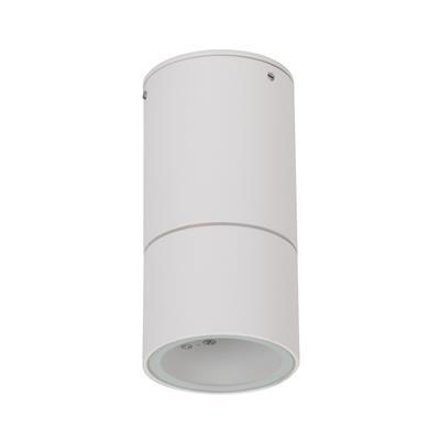 ELITE-SM DN GU10 6W 3K 240V WHT TRIO