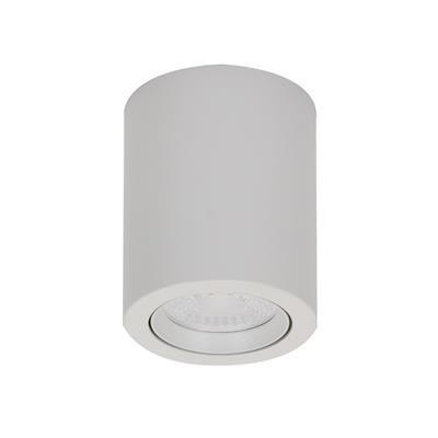 NEO-SM TILT 10W LED S/MOUNTED WHT