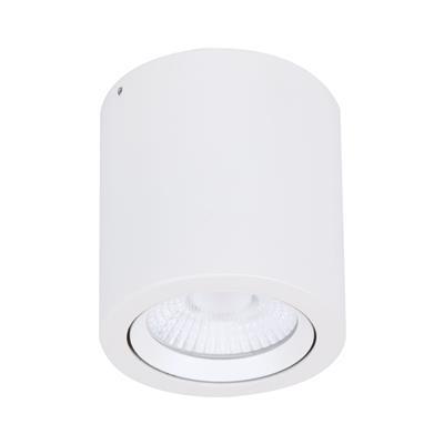 NEO-SM TILT 20W LED S/MOUNTED WHT TRI-COLOUR