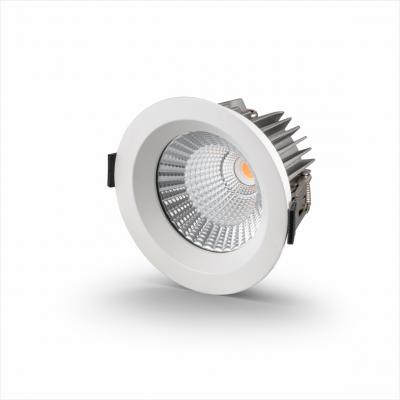 ZR-D2002-20W-WHT