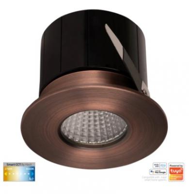 Prime - Antique Brass Fixed CCT WIFI LED Downlight IP54